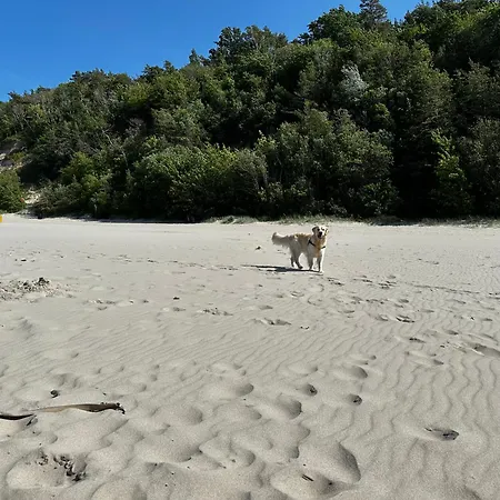 Appartamento Piasek I Slonce Jastrzębia Góra