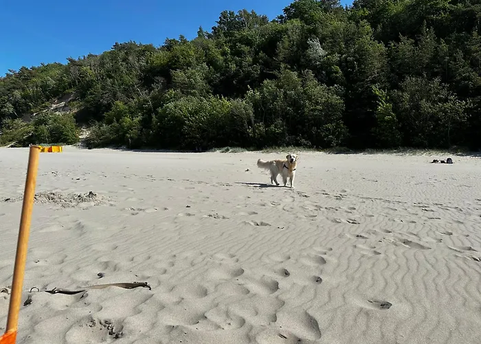 Apartmán Piasek I Slonce Jastrzębia Góra